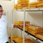 Kepala BPPTU Jabar Lestarikan Ayam Sentul, Punya Konsep Pirus